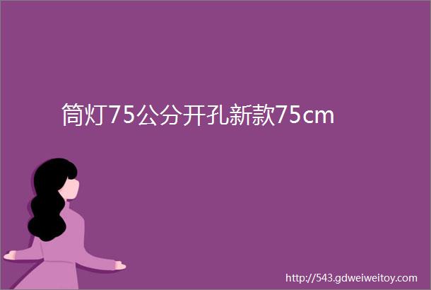 筒灯75公分开孔新款75cm